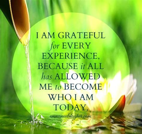 I Am Grateful Quotes - ShortQuotes.cc