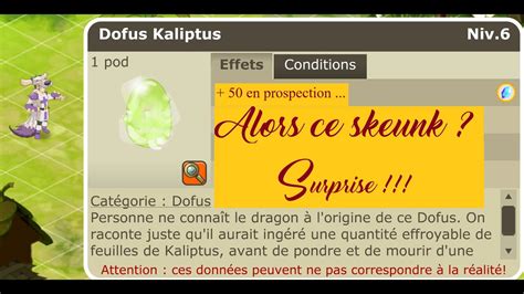 Boune Dofus Rep Re Du Skeunk Avec La Guilde Alors Quel Jet