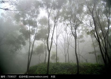 大雾笼罩山野高清图片下载红动中国