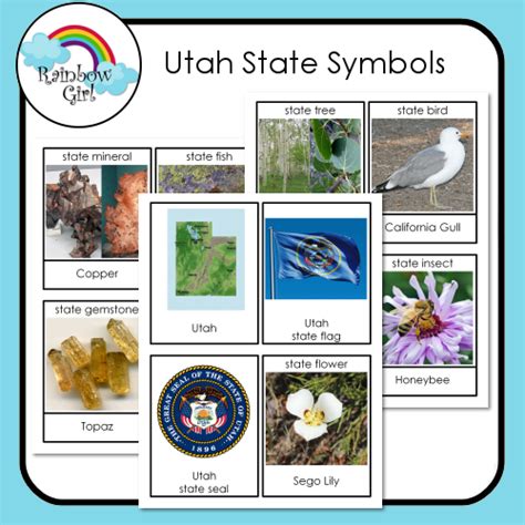 Utah State Symbols | State symbols, Symbols, Vocabulary cards