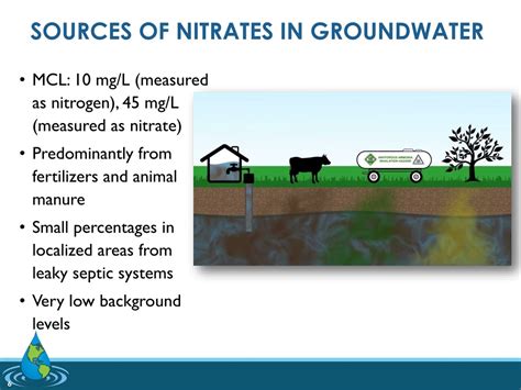 Ppt Nitrates And The Human Right To Water Powerpoint Presentation