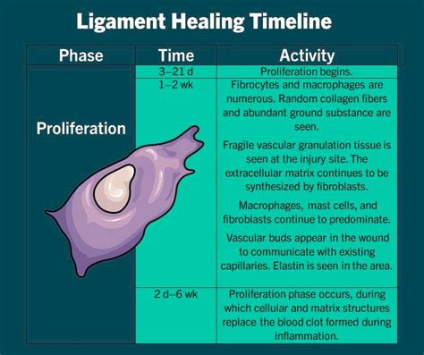 Physio Meets Science On Twitter Timeline Of Extra Articular