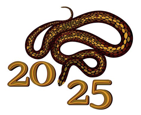 2025 Chinese Year Of Snake Bright Isolated Illustration 36164666