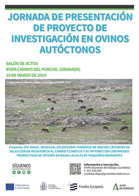 El IFAPA presenta un proyecto de investigación en ovinos autóctonos