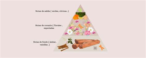 Tipos De Perfumes Conoces Las Familias Olfativas Blog Druni