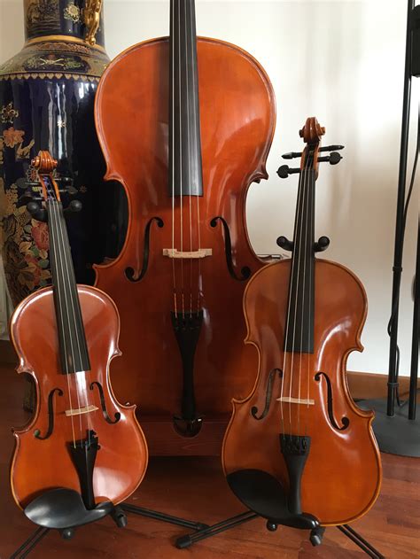 Violino Viola Violoncello Livello Aaa Fenice Armonia Livello Master Violino