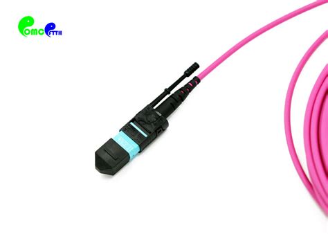 Mtp Trunk Cable Om4 12f 30mm Mtp Female 50 125μm With Push Pull Tab Magenta Lszh Jacket