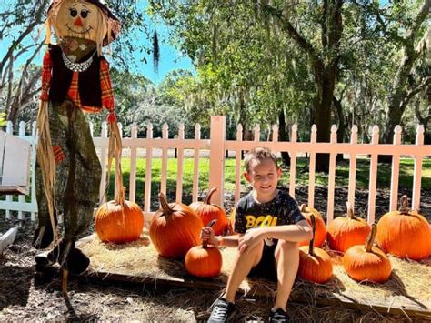 20+ Adorable Fall Festivals in Tampa Bay for Kids