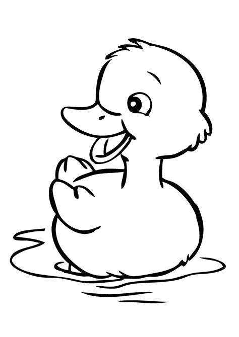 Joli petit canard Coloriages d Oiseaux faciles à imprimer pour enfants