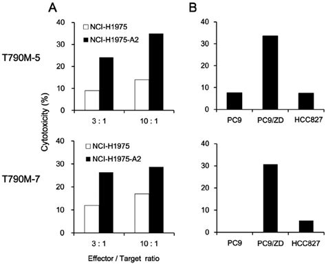 Cytotoxicity Of The T790m 5 Or T790m 7 Stimulated T Cells Against Download Scientific Diagram