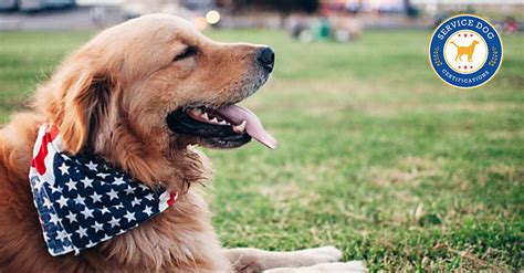 how to get a service dog in texas