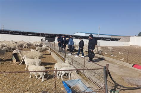 张掖市畜牧兽医局 市畜牧技术推广站团队科技特派员进场入户开展技术服务活动