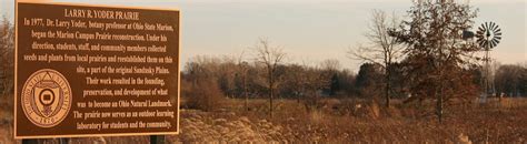 Graminoids Grasses Sedges And Rushes Larry R Yoder Prairie