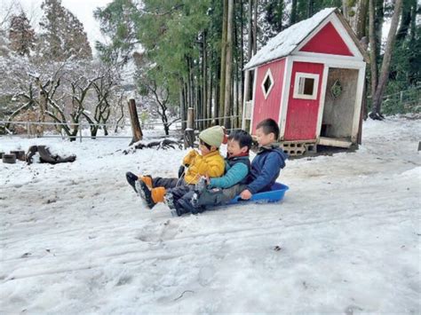 森と遊び、森と育む子どもたち 街プレ 東京・西多摩の地域情報サイト