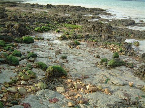 Isle of Wight – UK Fossil Collecting