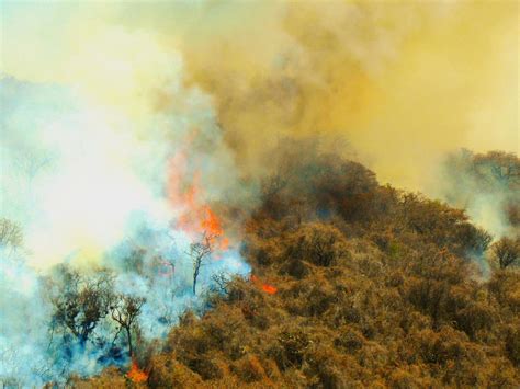 Inician Sobrevuelo De Dron Para Atender Incendio En El Cerro Del