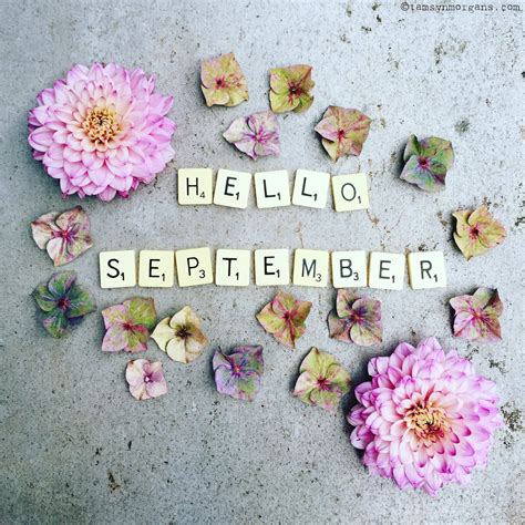 Hello September The Villa On Mount Pleasant