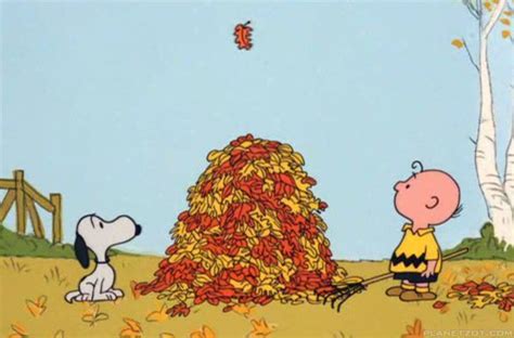 Charlie Brown And Snoopy Raking Leaves On It S The Great Pumpkin