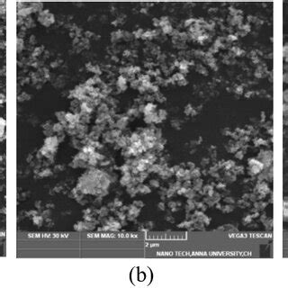 XRD pattern of ZnO nano particles | Download Scientific Diagram