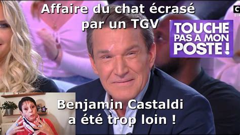 Chat écrasé par un TGV Benjamin Castaldi a été trop loin YouTube