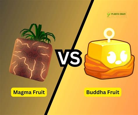 Is Magma Better Than Buddha? [A Guide For Blox Fruits]