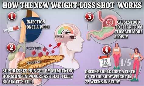 Miracle New Weight Loss Jab May Make You Bald Daily Mail Online