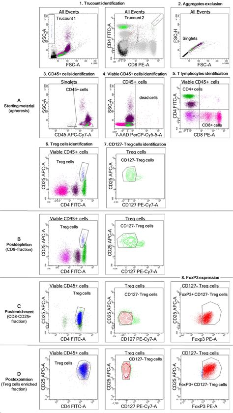 flow cytometric analysis  treg cells   manufacturing process