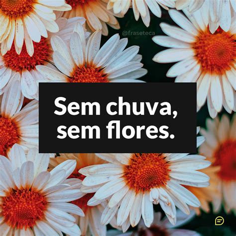 108 Frases De Felicidade Para Status Fraseteca