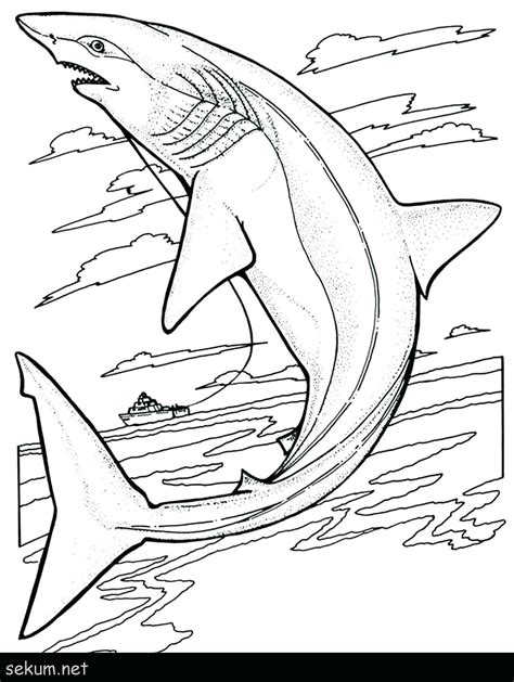 Realistic Megalodon Coloring Pages - kidsworksheetfun