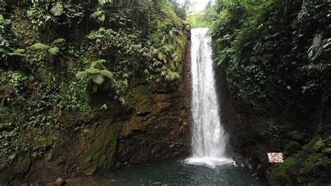 Cuma Rp Ribu Bisa Masuk Ke Tempat Wisata Curug Di Bogor Ini Yuk