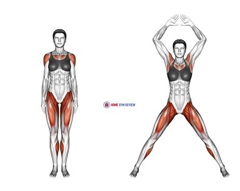 Muscles Used While Jumping at James Frary blog