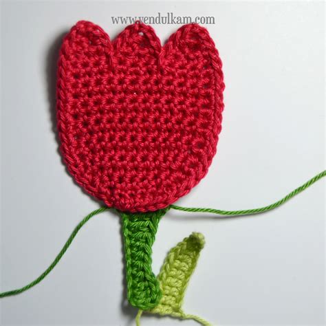 The Tulip Magic With Hook And Needles