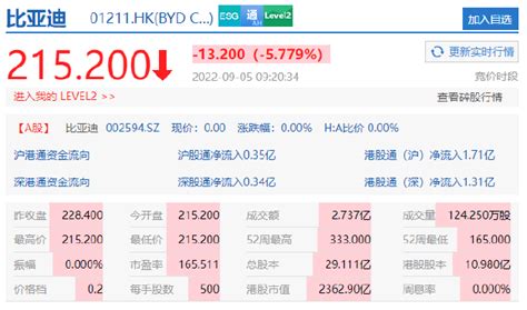 比亚迪股份开跌超5 ，伯克希尔哈撒韦持股降至18 87 港股 新浪科技 新浪网