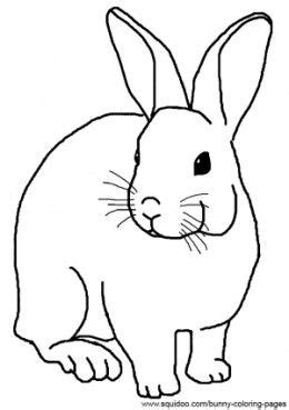 Realistic Rabbit Coloring Pages