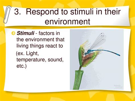 PPT - Characteristics of Living Things PowerPoint Presentation, free ...