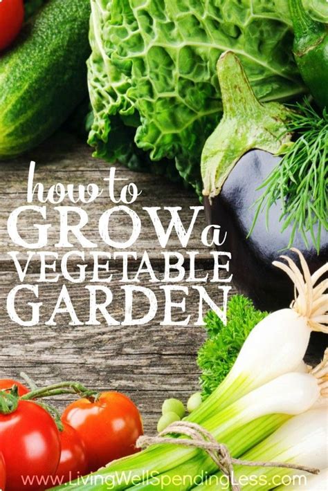 How To Grow A Vegetable Garden Vegetable Garden For Beginners Home