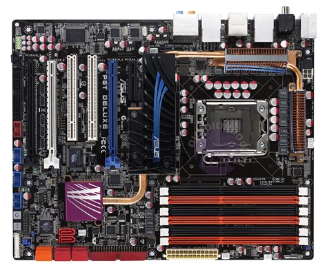 Early Look Asus P T Deluxe Bit Tech Net