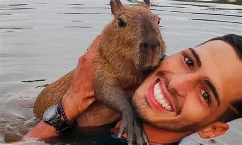 Influenciador do AM é multado pelo Ibama e deve entregar capivara Filó