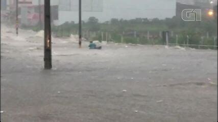 Chuva Forte Alagada Vias Derruba Rvore E Motociclista Luta Para