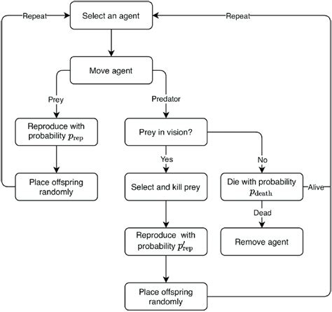 Predator Prey Model Flow Chart Of The Predator Prey Model