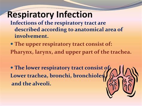 Ppt Respiratory Tract Infection Ri Powerpoint Presentation Free Download Id 3482413