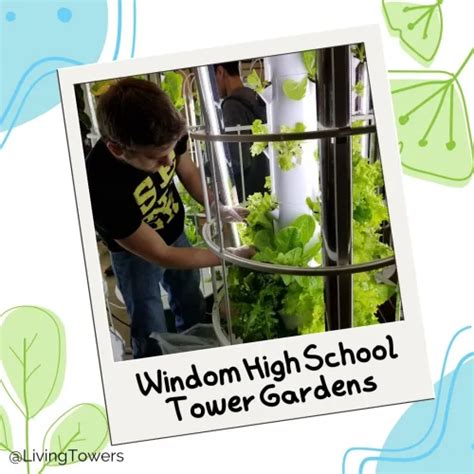 Windom High School's Tower Gardens - Students Learn How To Grow Healthy ...