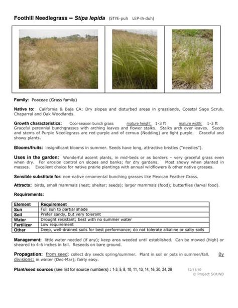 Q Stipa Lepida Pdf