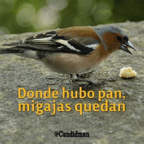 Donde Hubo Pan Migajas Quedan