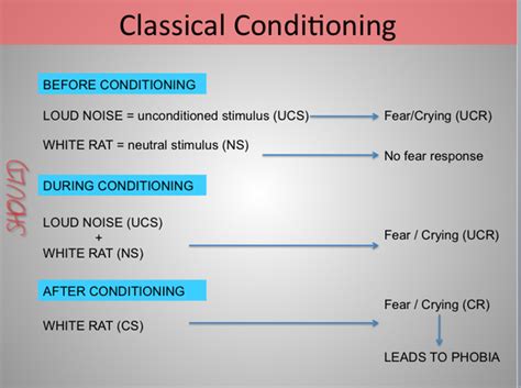 Explanations Of Abnormality As Psychology