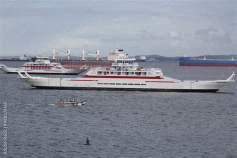 Salvador Bahia Brazil August 19 2014 Dorival Caymmi And Zumbi Dos