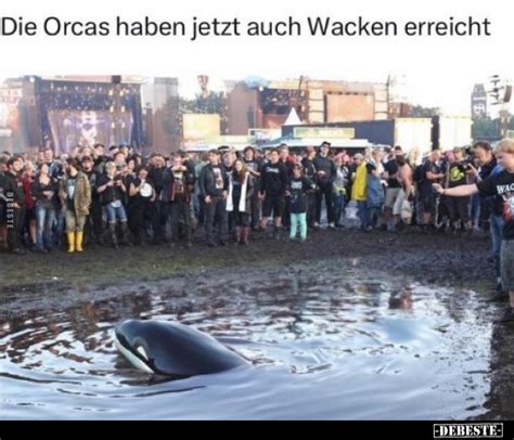 Die Orcas Haben Jetzt Auch Wacken Erreicht Debestede