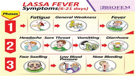 Understanding Lassa Fever Causes Symptoms And Prevention Ask The