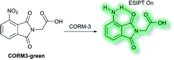 Fluorescent Small Organic Probes For Biosensing Chemical Science Rsc