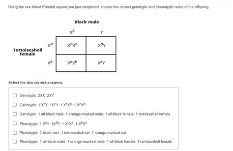 Solved Using The Sex Linked Punnett Square You Just